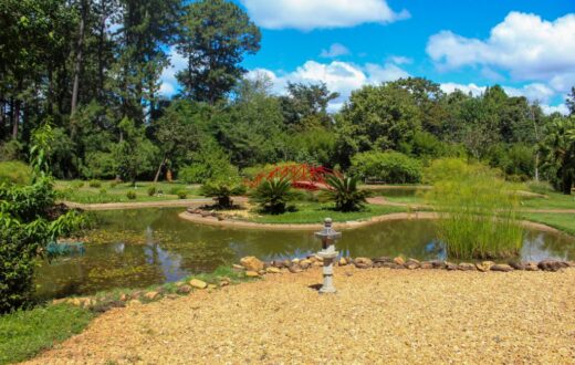 agencia-brasilia-1789072068-1024×683-1
